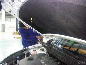 汽车液压支撑价格多少